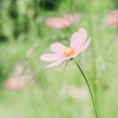 科学谋划城市“成长坐标”（人民时评）