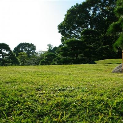 北方大部升温显著华北最高温直逼20℃ 南方13日起迎大范围阴雨