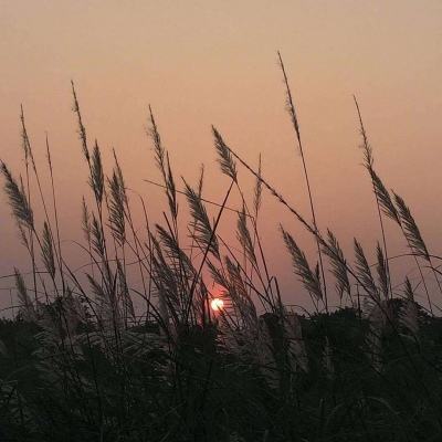 北京丰台通报1例阳性 为宁夏病例密接