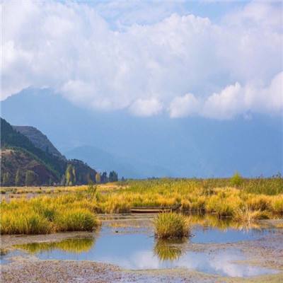 【境内疫情观察】全国新增37例本土病例（12月9日）