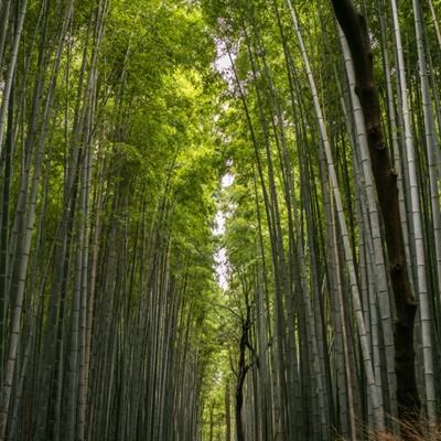 中铝集团和山东魏桥联合发布《加快铝工业绿色低碳发展联合倡议书》